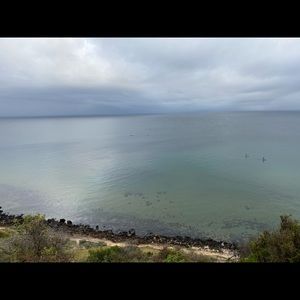 Meet your Posher, Louise